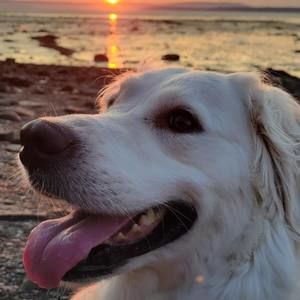 Meet your Posher, Milcah